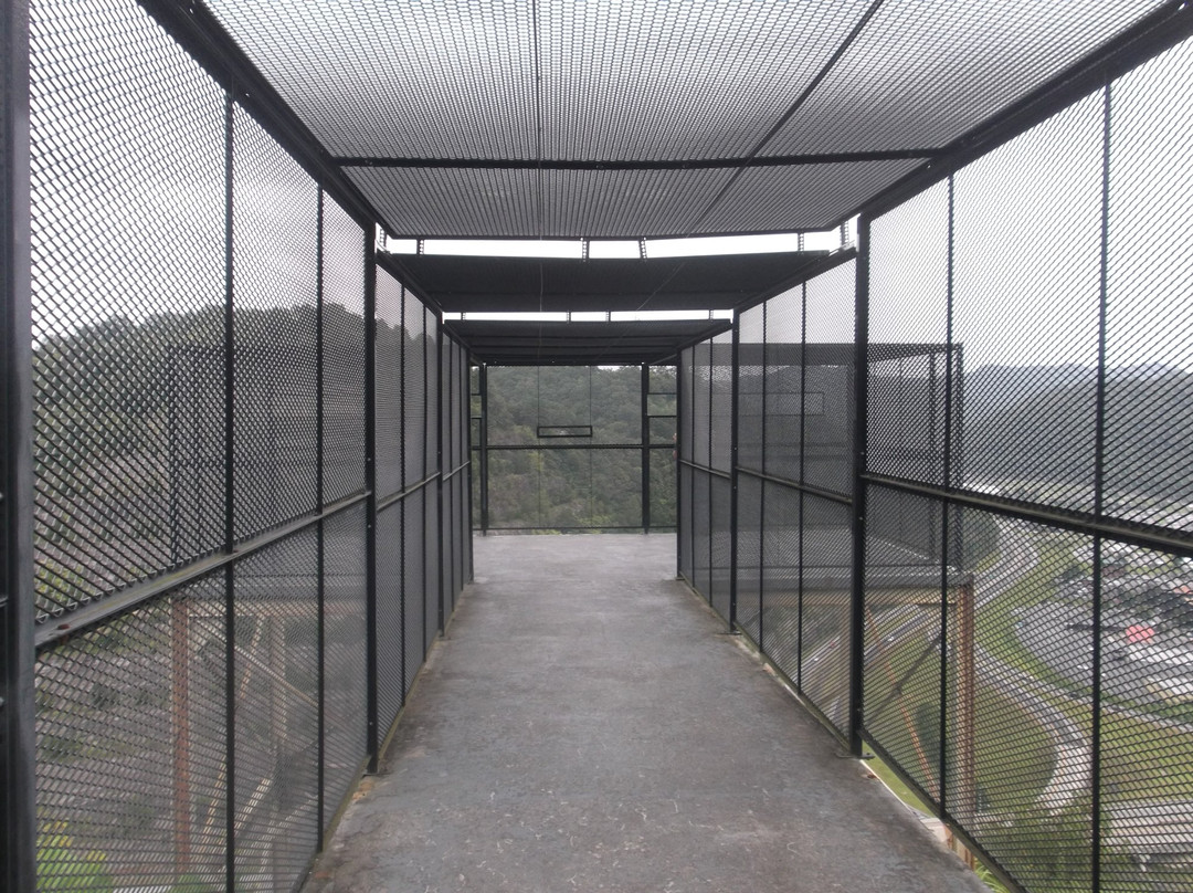 Bob Amos Park-Pikeville必去景点