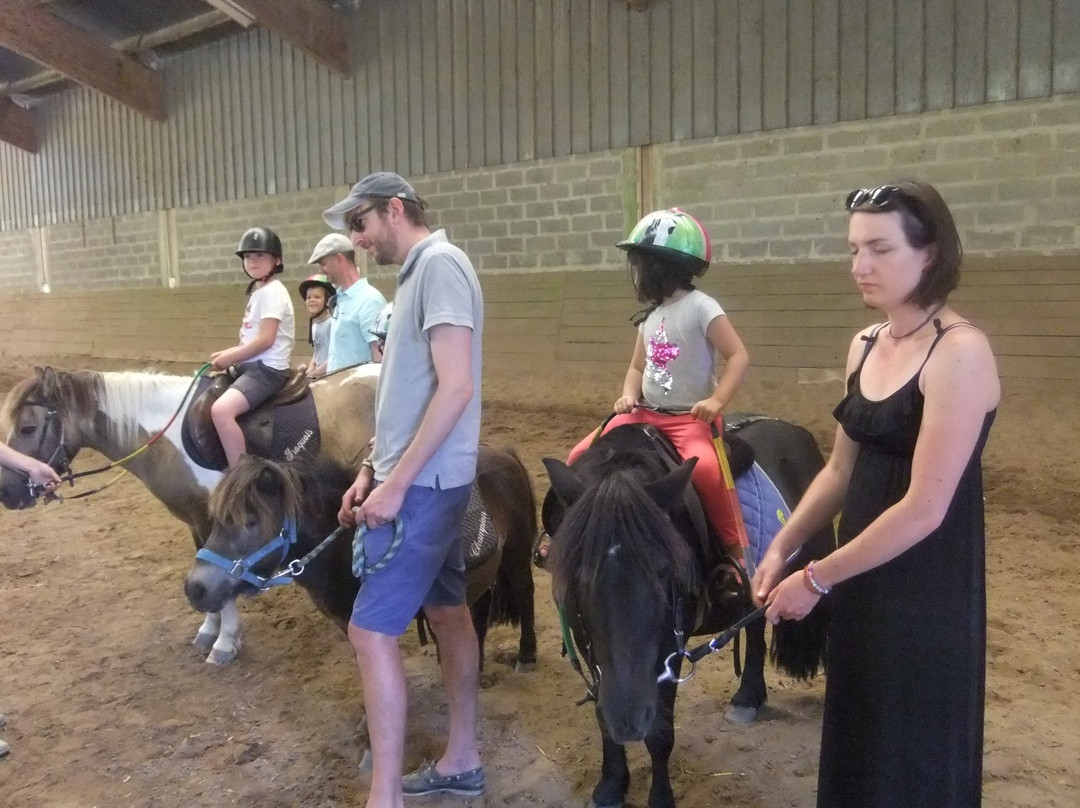 Club Hippique Et Poney Club Du Bel Air景点图片