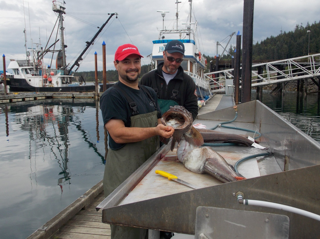 Avid Sportfishing-Sandspit必去景点