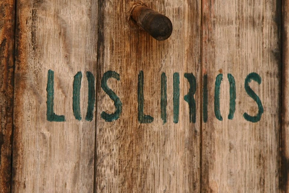 Bodega Los Lirios景点图片