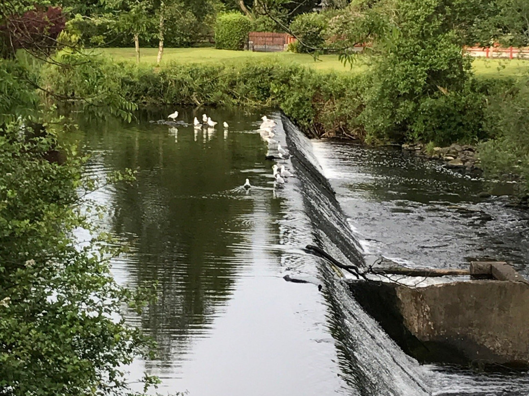 Almondell & Calderwood Country Park-Broxburn必去景点