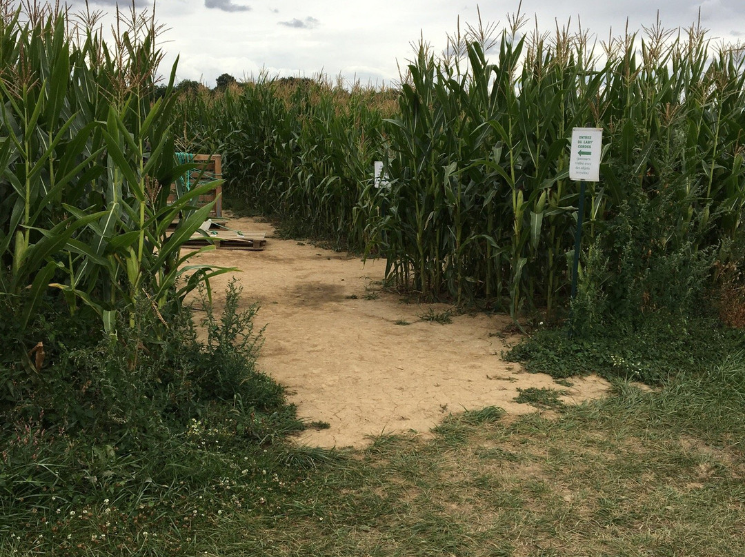 Le Labymais de la Brie-Saint Barthelemy d'Agenais必去景点