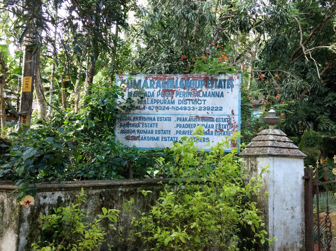 Kumaragiri Farm & Nature Camp-Malappuram必去景点