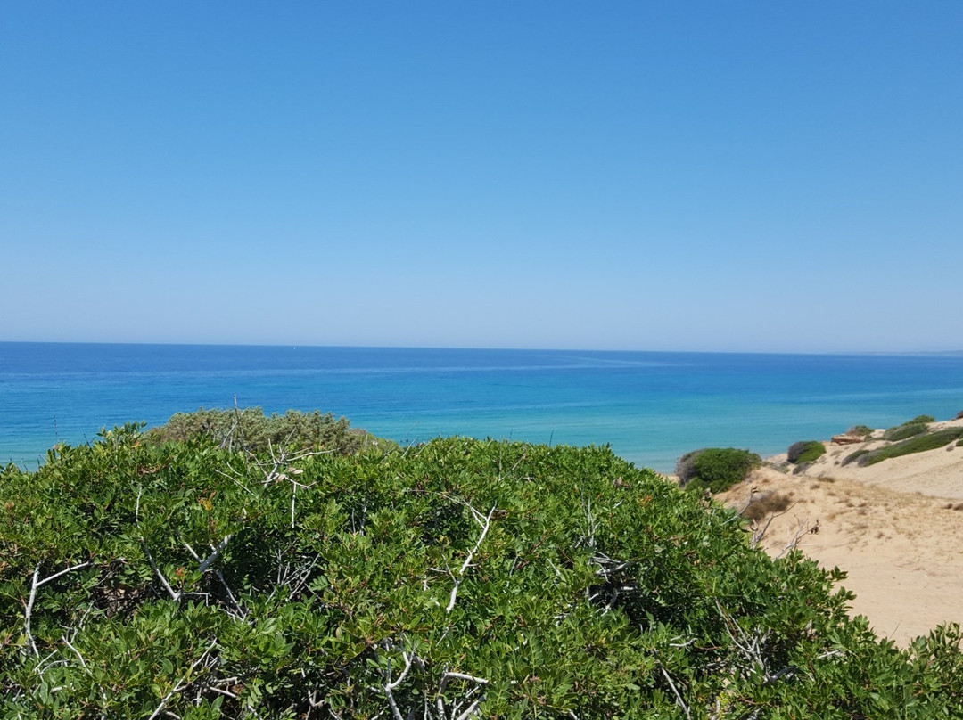 Spiaggia di Scivu景点图片