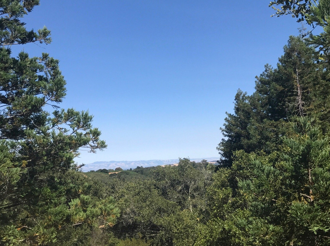 Huddart Park/Skyline Loop-Woodside必去景点