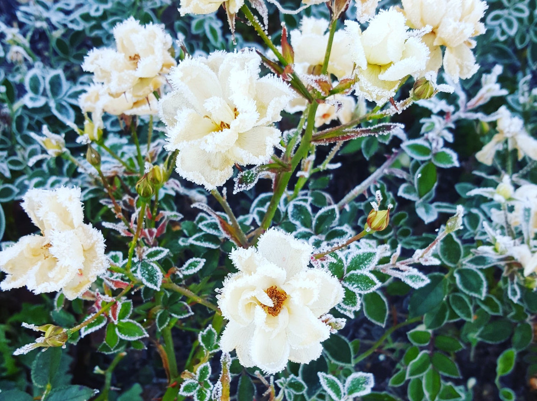 Brooke Park-德里必去景点