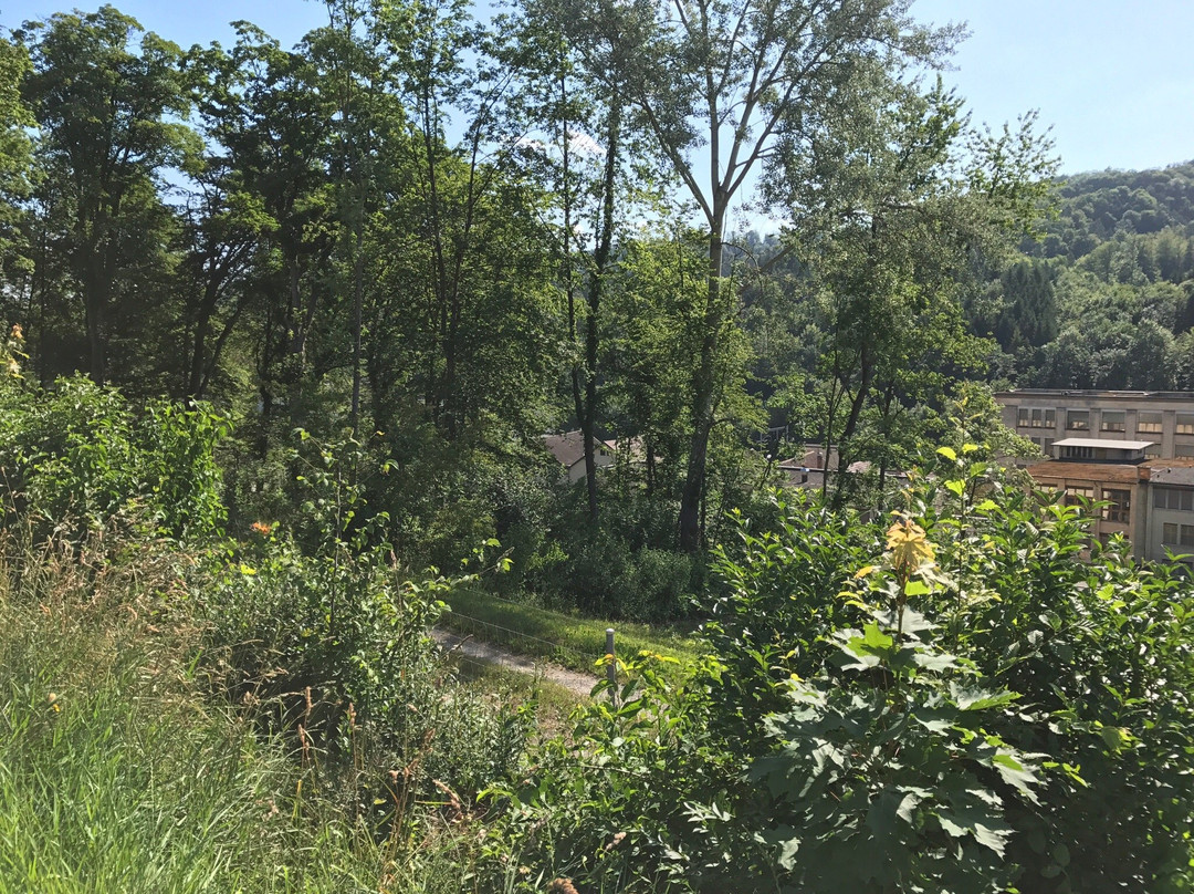 Kemptthal旅游攻略图片