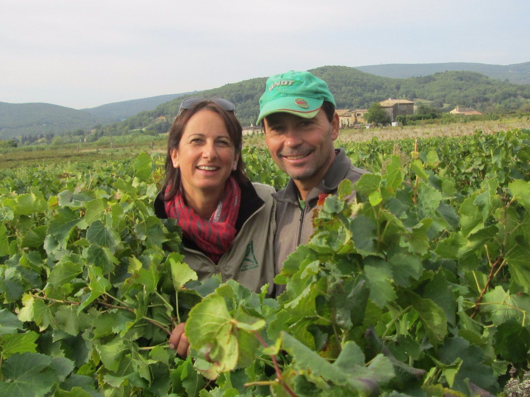 Domaine Alain Dumarcher景点图片