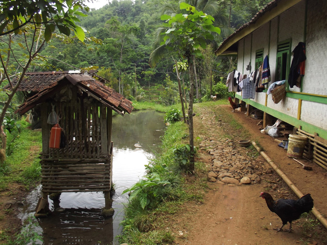 Bule Homestay Cianjur-Cianjur必去景点