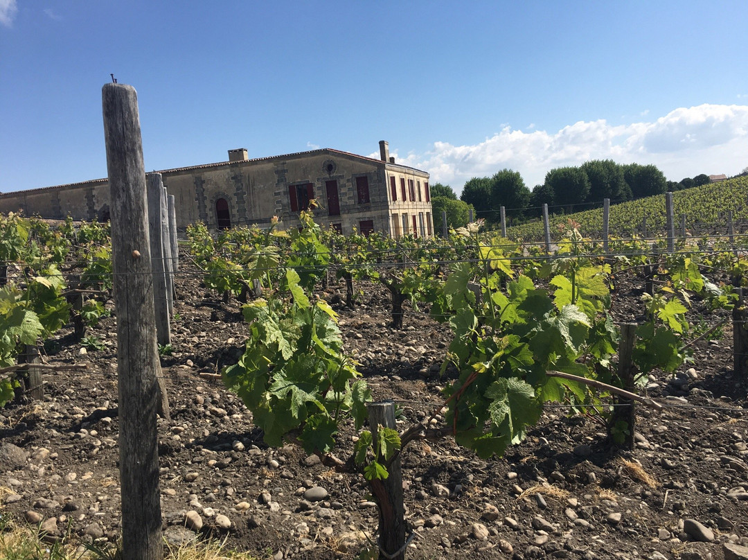 波亚克旅游攻略图片