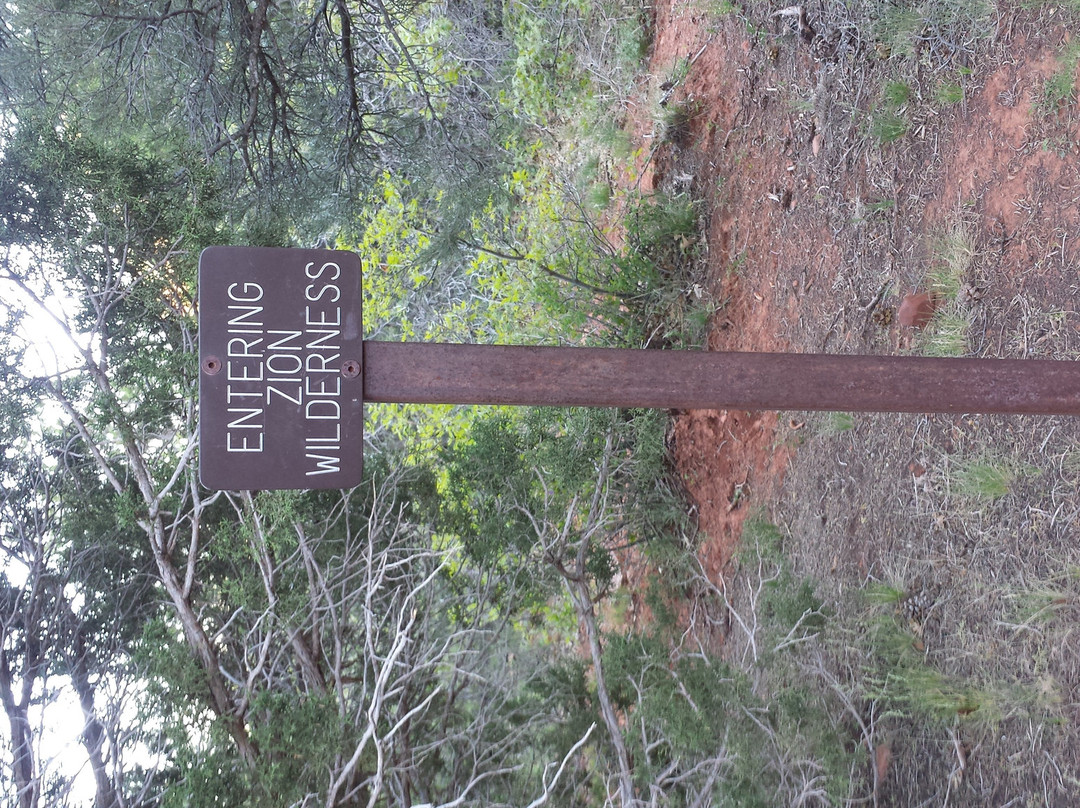 La Verkin Creek/Kolob Arch Trails-锡安国家公园必去景点