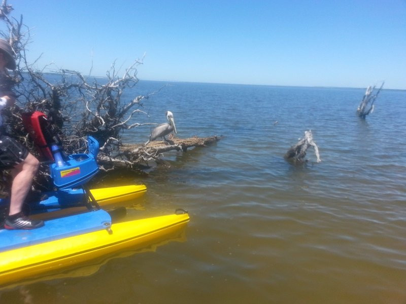 Emerald Coast Hydrobikes-圣罗萨海滩必去景点