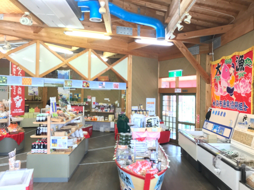 Michi no Eki Minamata-水俣市必去景点