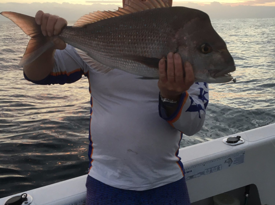 Sunny Coast Fishing景点图片