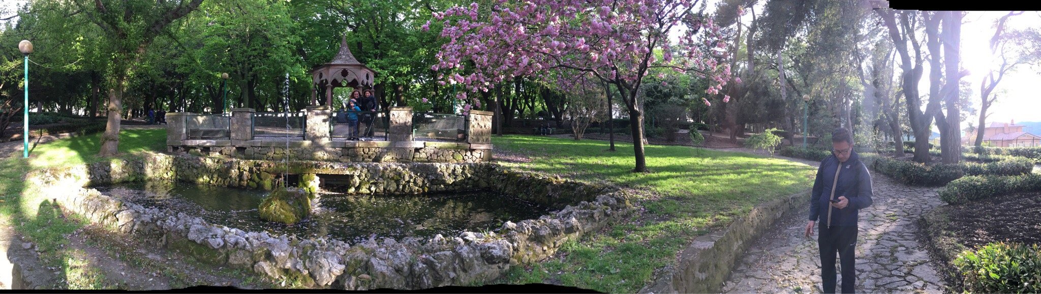 Palazzo San Procopio-官方