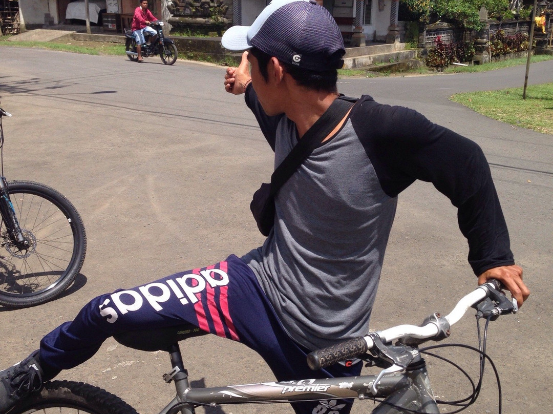 Bali Culture Tour - Private Tours-乌布必去景点