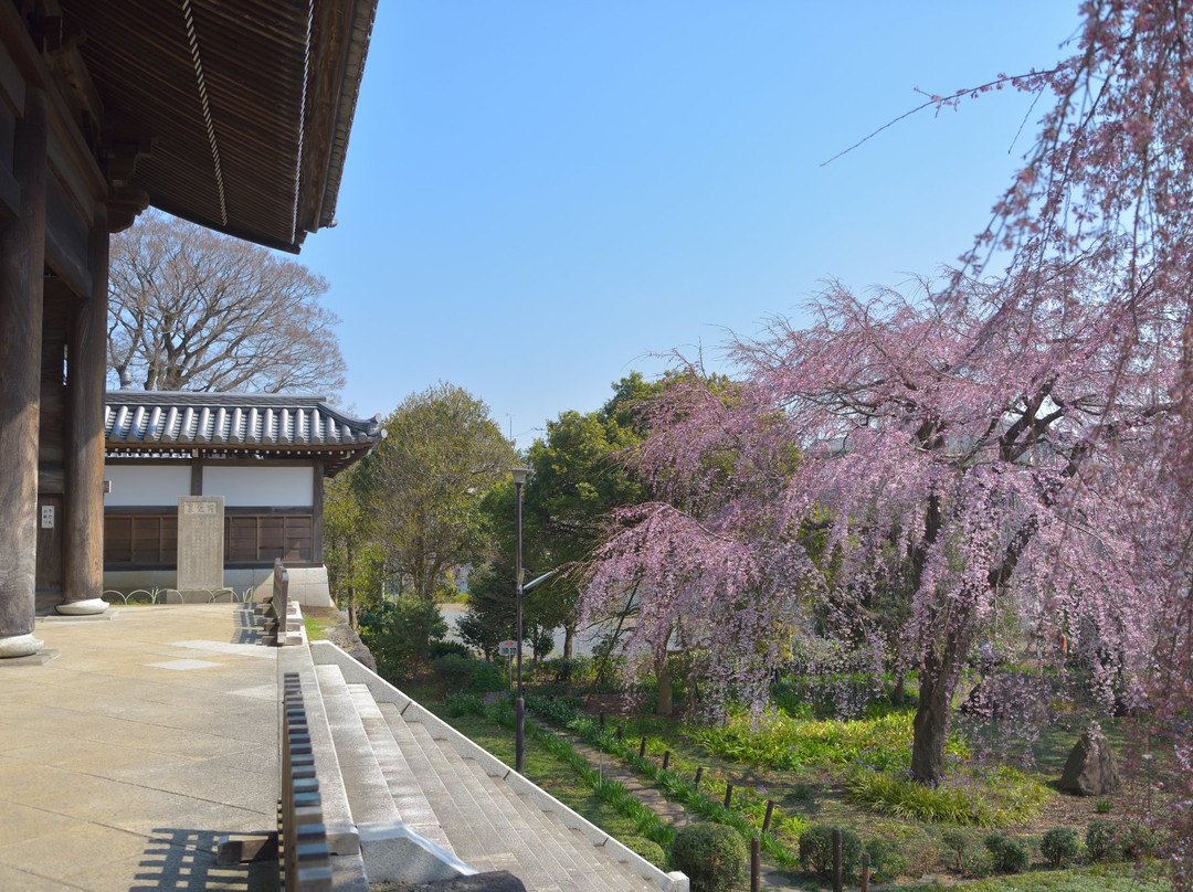 Togo-ji Temple-府中市必去景点