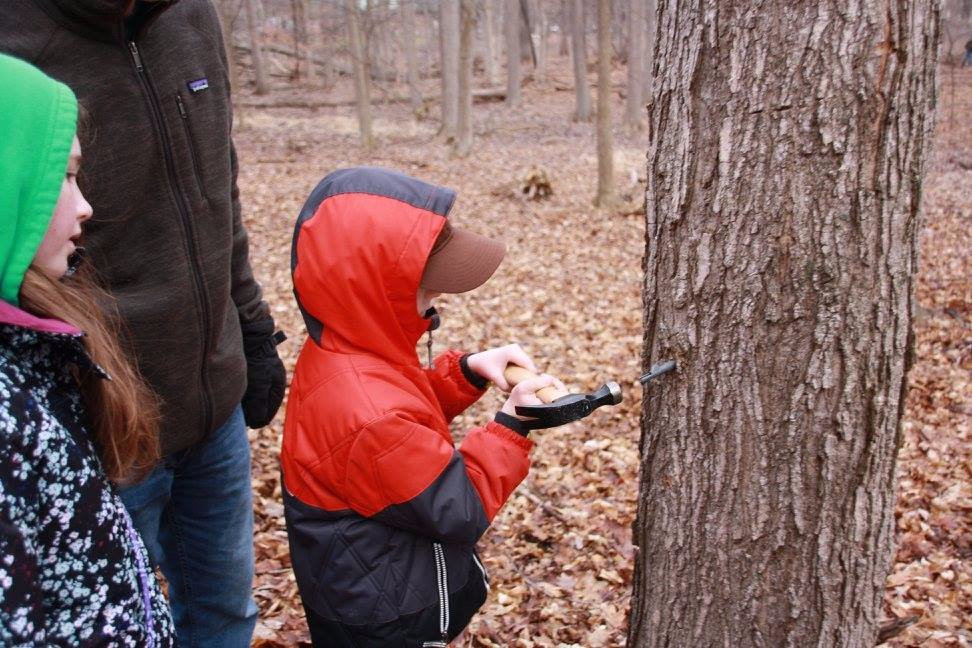 Stage Nature Center-特洛伊必去景点