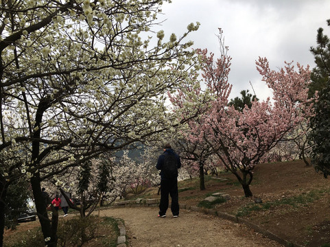 十梅庵公园-青岛市必去景点