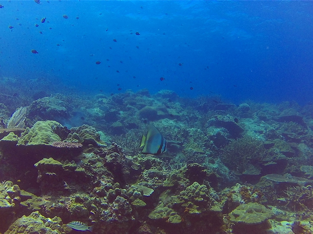 DiveAsia Tioman-刁曼岛必去景点