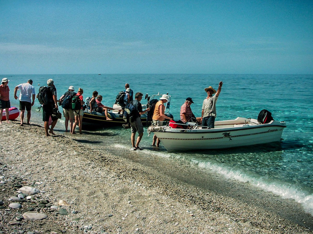Pelion Scout