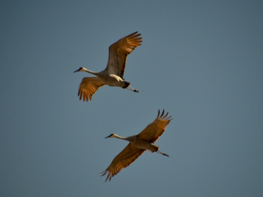 Goose Pond Fish and Wildlife Area-Linton必去景点