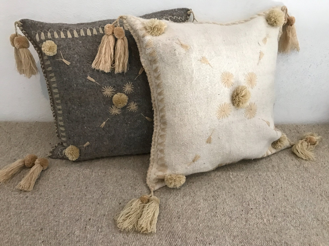 Luna Layne-旧金山必去景点