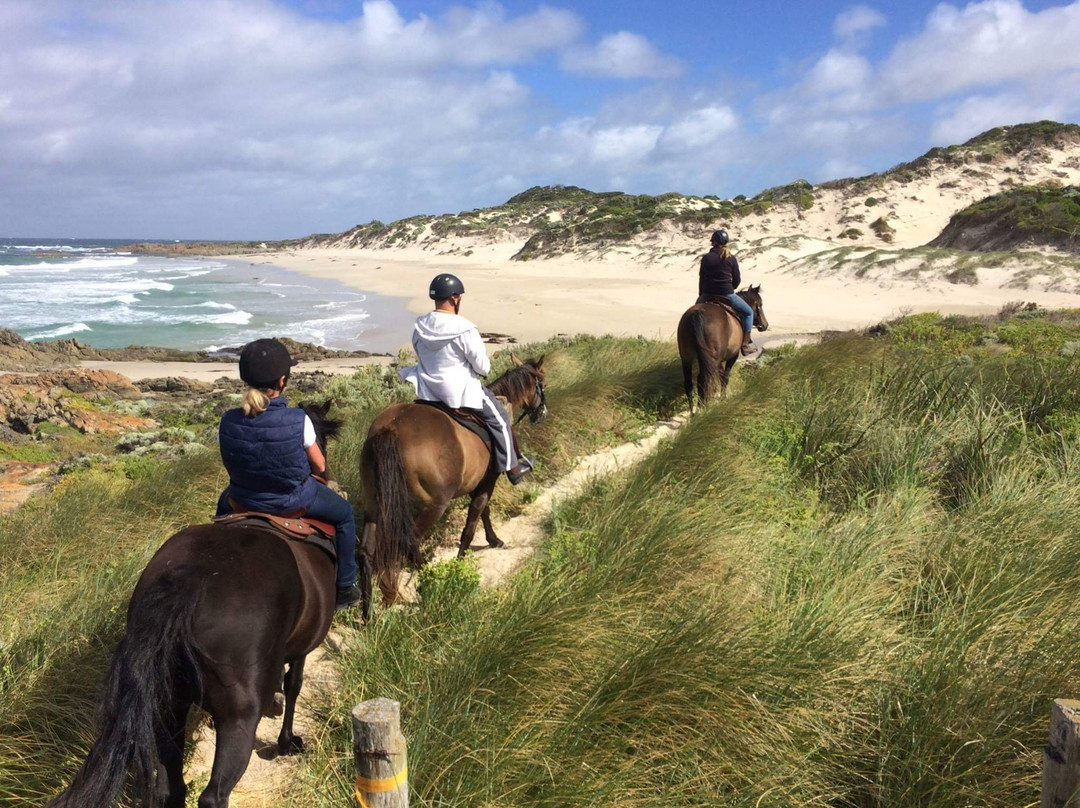 King Island Trail Rides-Currie必去景点