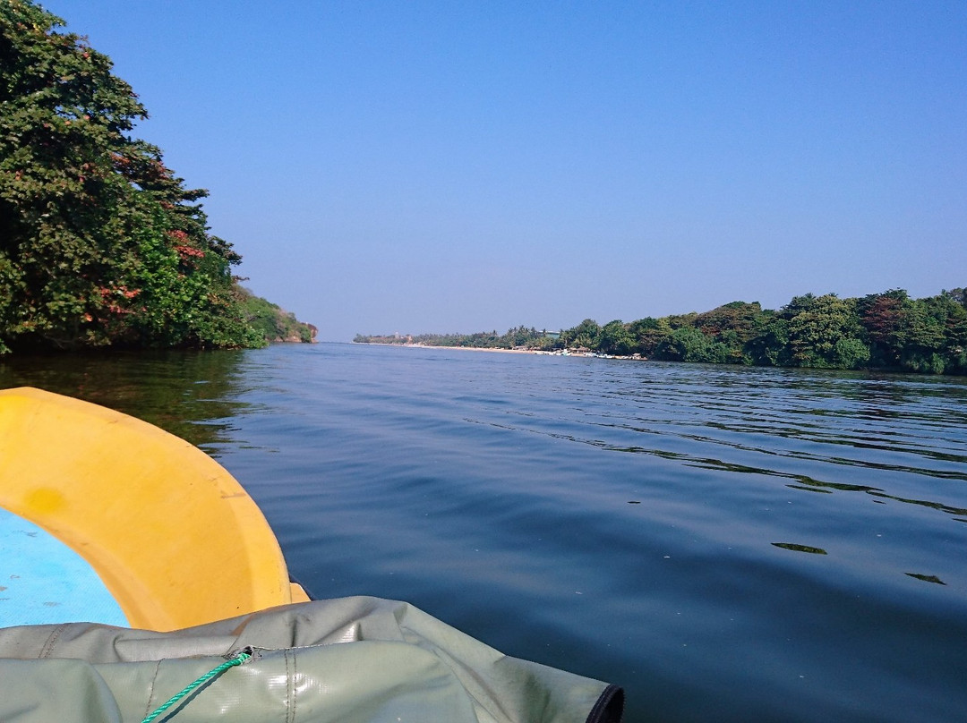 Bentota River Safari景点图片