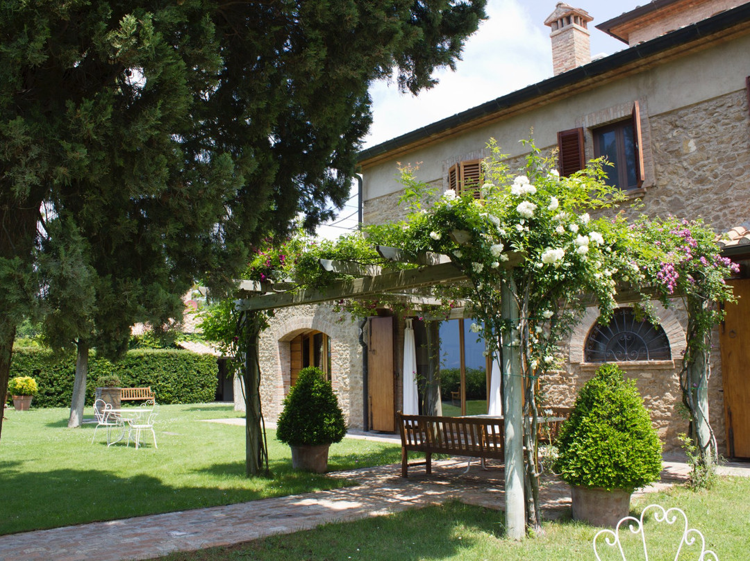 Casale Marittimo酒店住宿-Podere Le Mezzelune