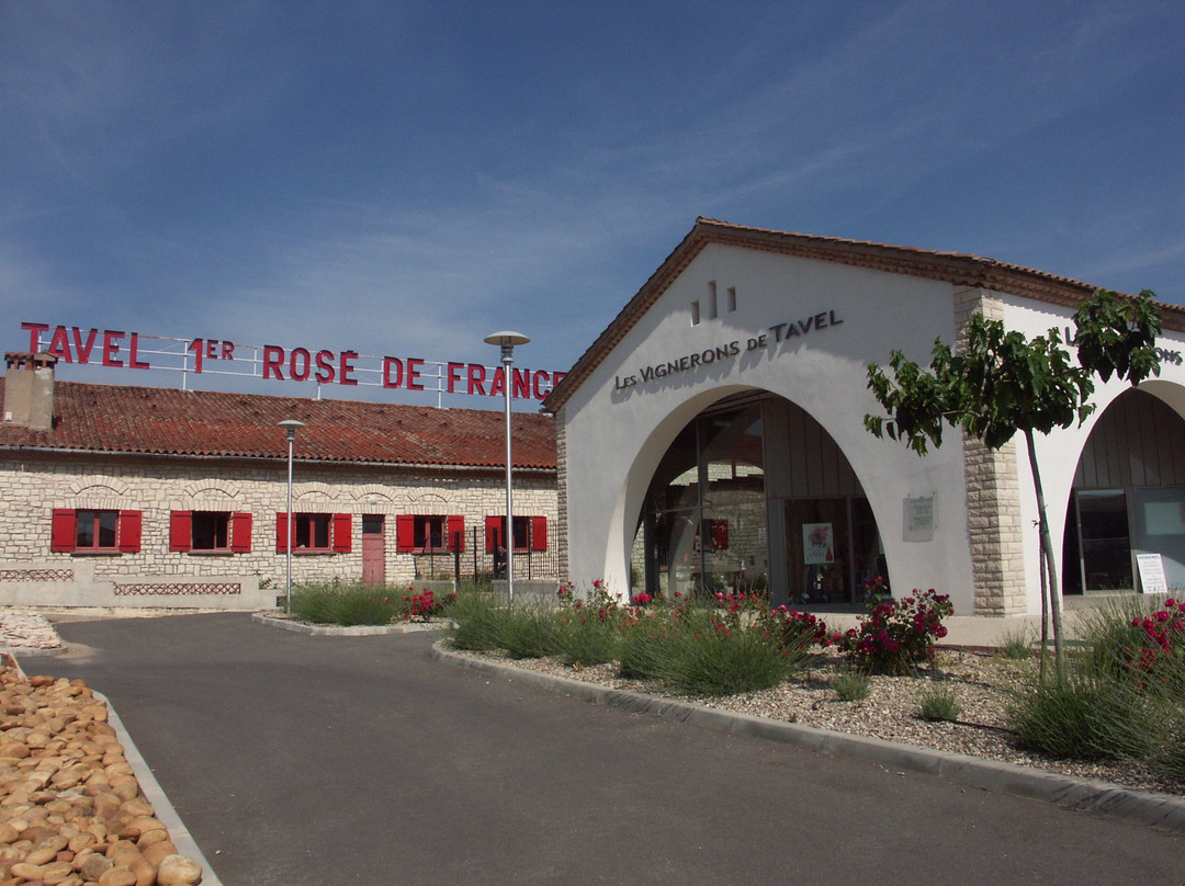 Les Vignerons de Tavel景点图片