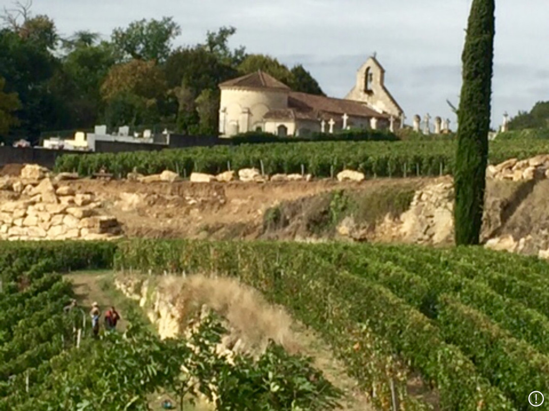 Château Tertre Rôteboeuf景点图片