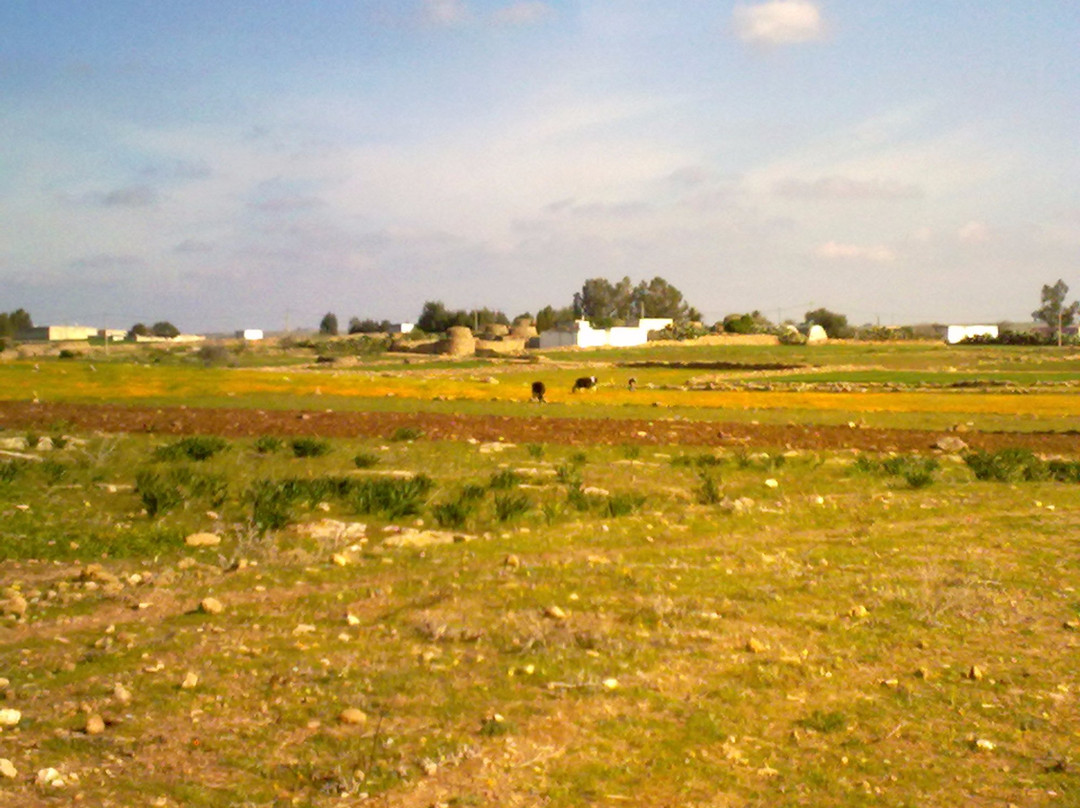 Tazotas-摩洛哥-马扎甘葡萄牙城必去景点