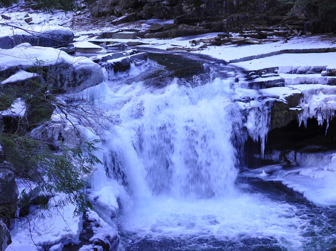 Bristol Falls-Bristol必去景点