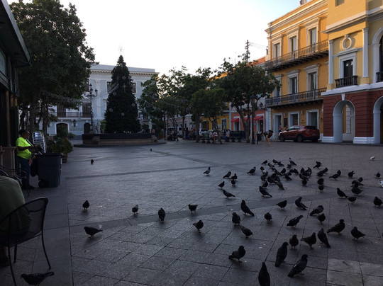 Sail Old San Juan-圣胡安必去景点