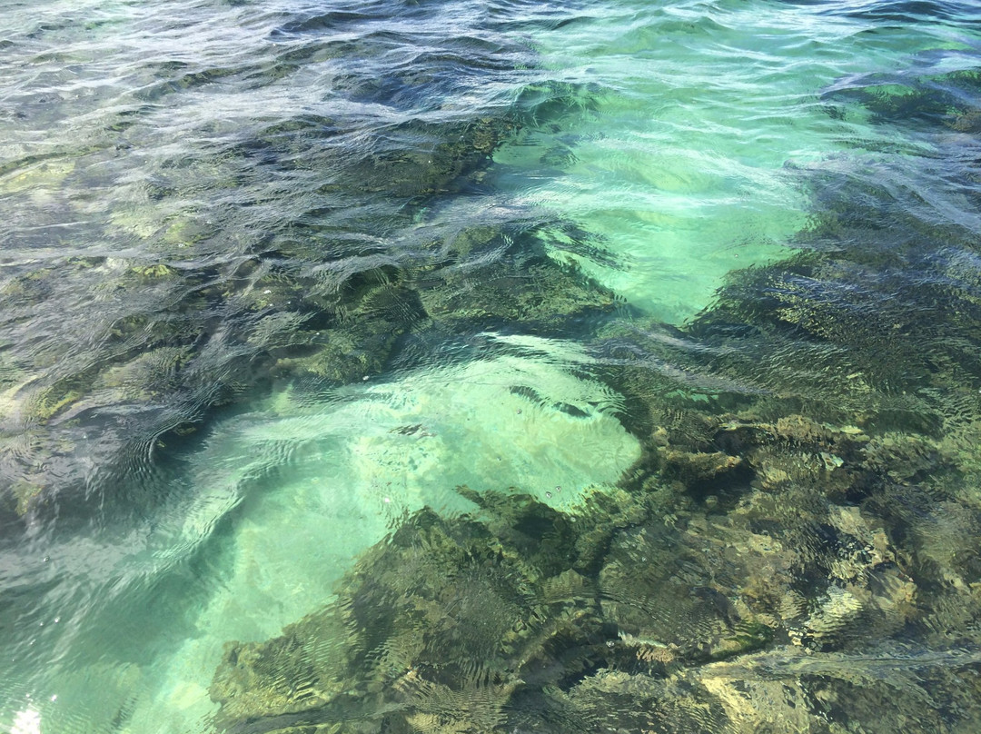Campas Beach-Tamandare必去景点