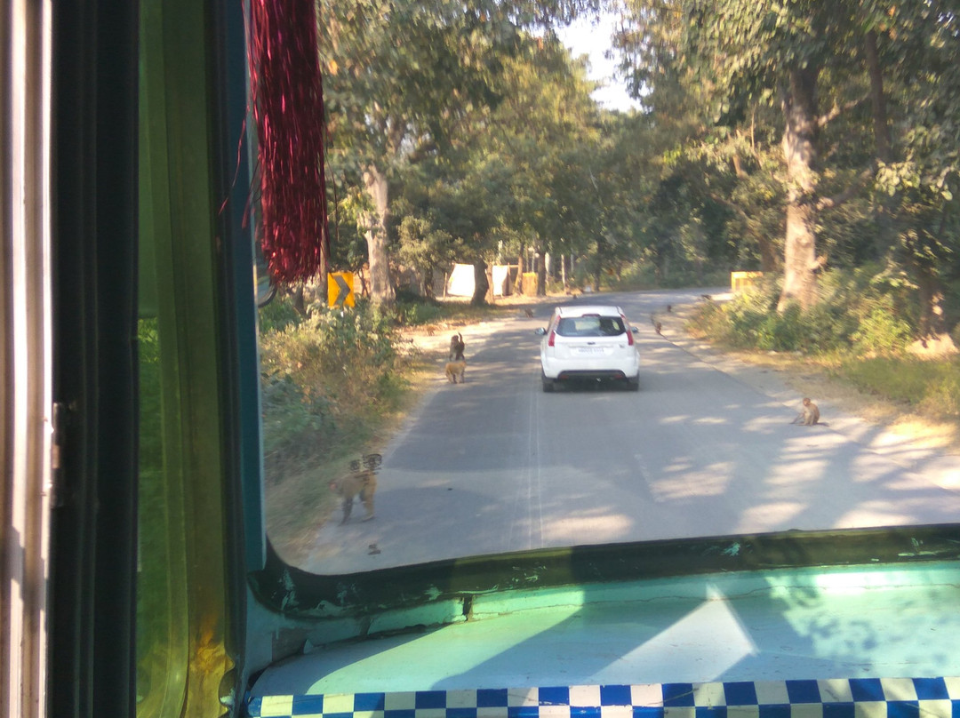 Kalesar National Park景点图片