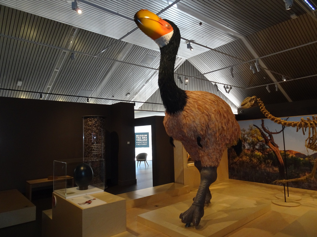 Megafauna Central - Museum and Art Gallery of the Northern Territory-爱丽斯泉必去景点