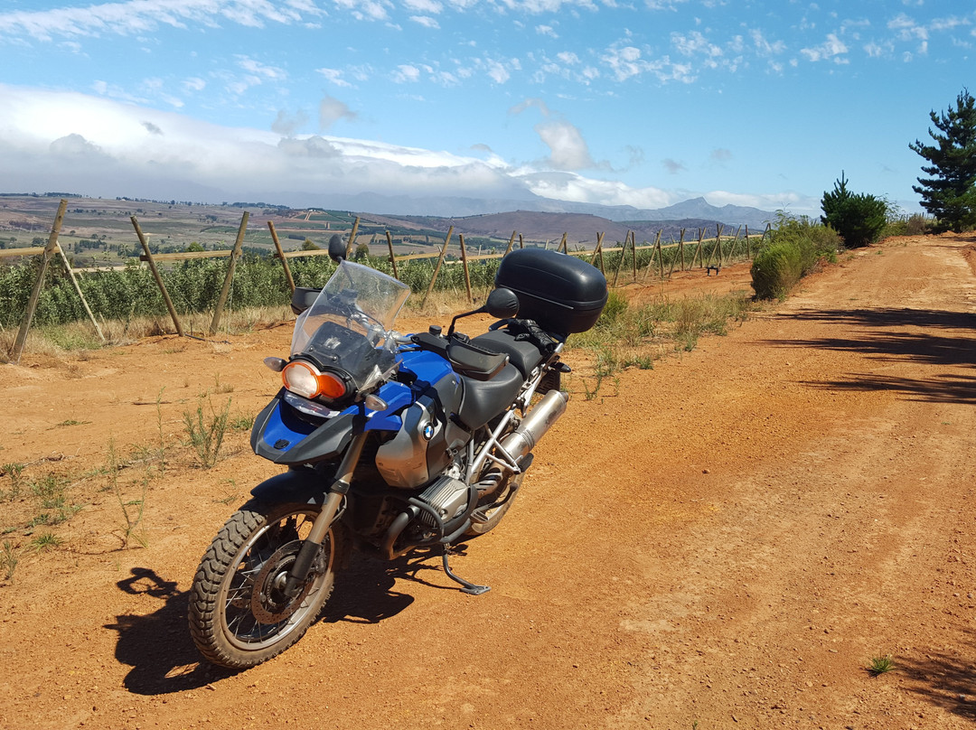 African Hoopoe Tours-开普敦中心区必去景点