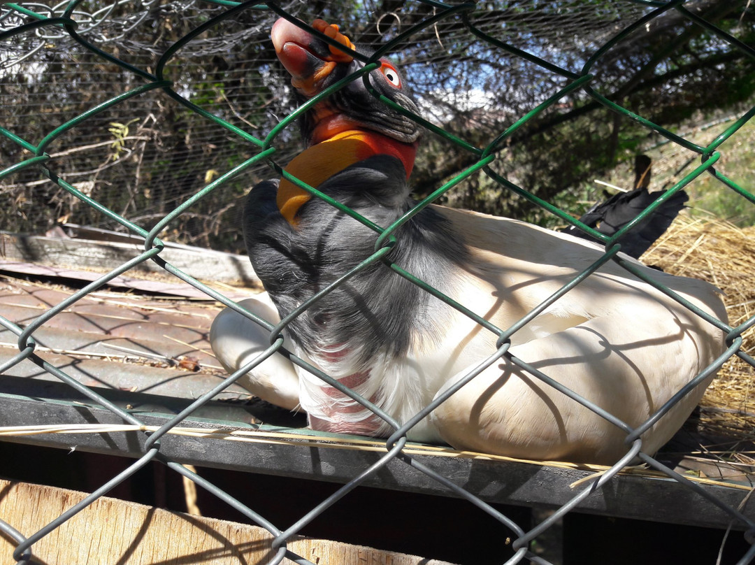 Zoologico de Ayacucho-Ayacucho必去景点