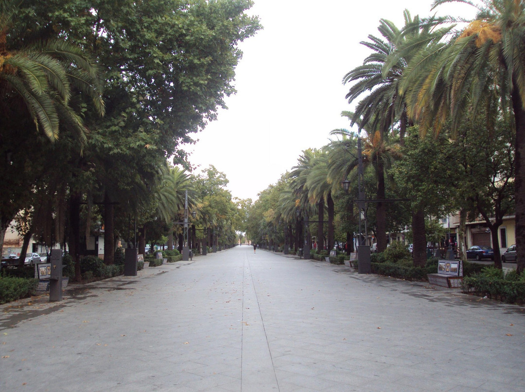 Paseo Virgen de Linarejos景点图片
