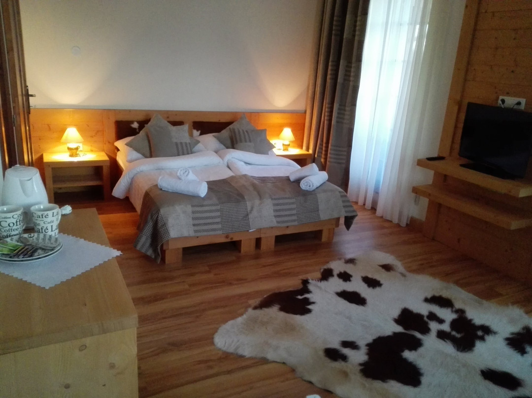 Vila Mlynica