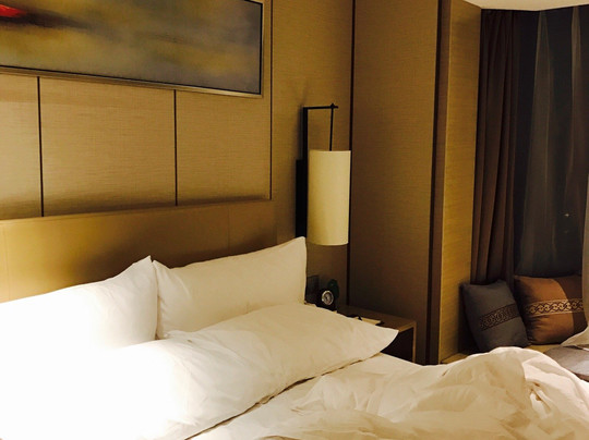 北京维景国际大酒店主图