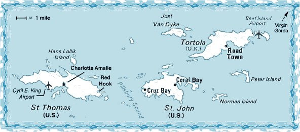 Dolphin Water Taxi-圣 托马斯必去景点