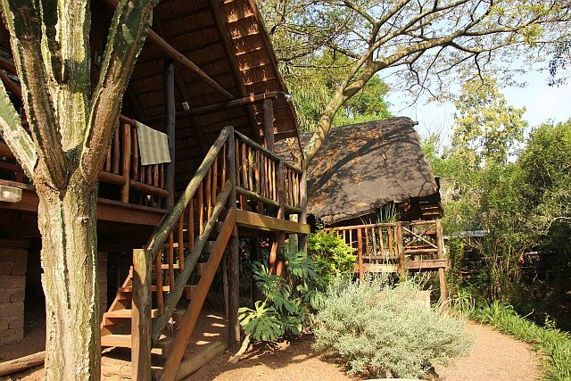 Manyavu酒店住宿-Tree House River Lodge