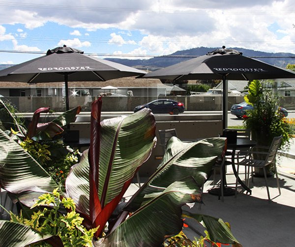 Chances Casino - Kamloops-坎卢普斯必去景点