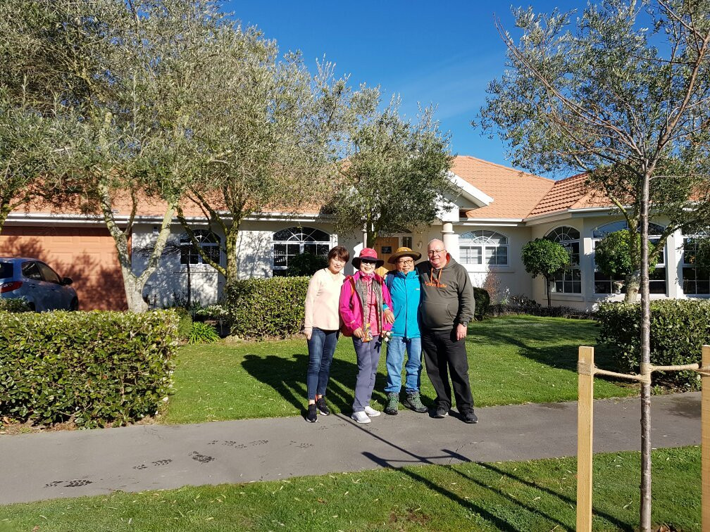 Clarkville酒店住宿-橄榄树住宿加早餐酒店