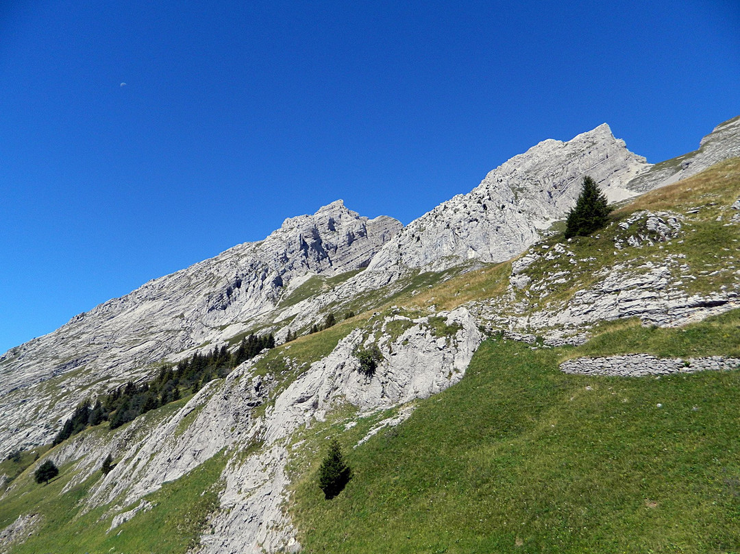 Col de la Colombière景点图片