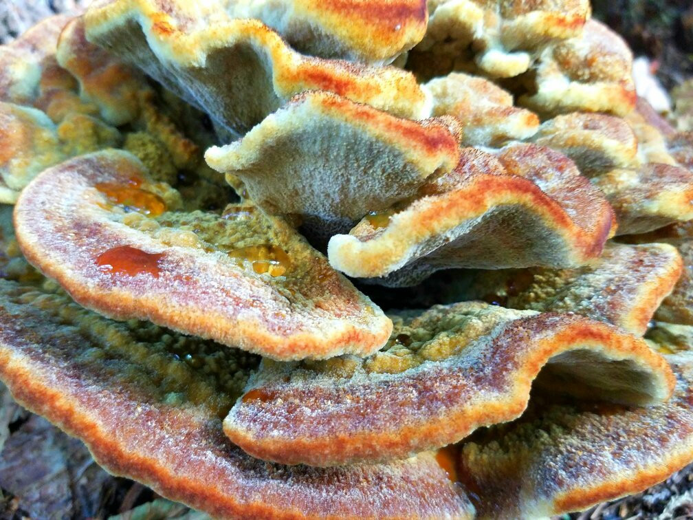 Birch Bay State Park-Birch Bay必去景点