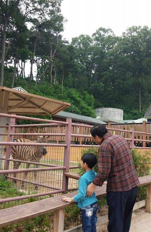 Cheongju Zoo-清州市必去景点